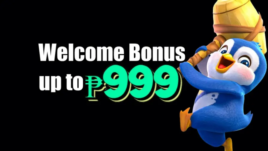 PP6